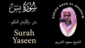 36 | Surah Yaseen | سورة يس | Sheikh Saud Al Shuraim | الشيخ سعود الشريم | Chapter 36