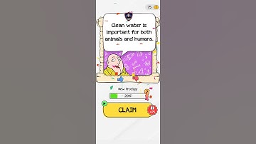 Braindom 2 Level 206 Clean the river!