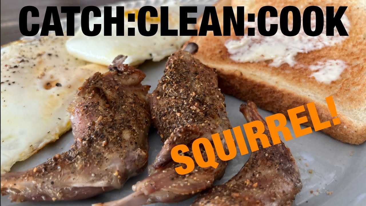 AIR FRYER SQUIRREL! Catch Clean Cook YouTube