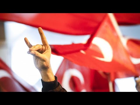 Η Γαλλία διέλυσε τους «Γκρίζους Λύκους»