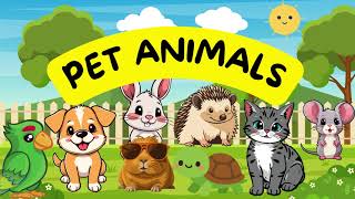 Pet Animals Learn About Pets Animals For Kids Toddlers Educational Video Kids Videos