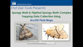 Spongy Moth and Flighted Spongy Moth Complex Trapping Surveys Data Collection using ArcGIS Maps