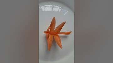 Cắt tỉa rau, củ, quả -Cắt tỉa con chuồn chuồn từ cà rốt- Cut dragonfly from carrot -Cô Phương 88