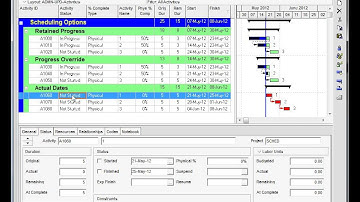 Scheduling options in Oracle Primavera 8.3