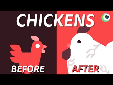 THE SCIENCE OF CHICKENS.