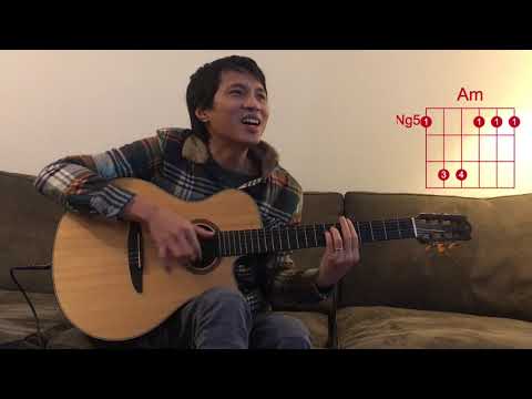 Tình khúc vàng - Hướng dẫn đệm hát, intro, giang tấu trên guitar