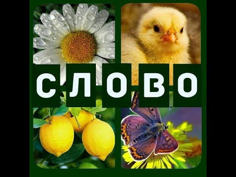 Угадай майнкрафтера ответы Угадай майнкрафтера ответы