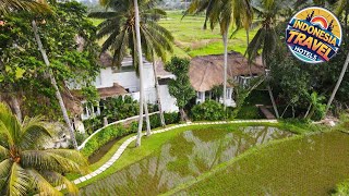 Fall in Love with Rose Moon | Bali, Indonesia | Hotel Review 🌟 screenshot 5