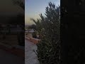 سقسيني تغيس سقسيني تغيس