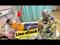 Lion nai dangerous attack kr diyalion cub ka kiya hoga ab