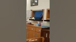 Kerekam jelas, jorok nya kru dapur restoran