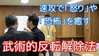 速攻で「怒り」や「恐怖」を癒す 武術的反転解除法