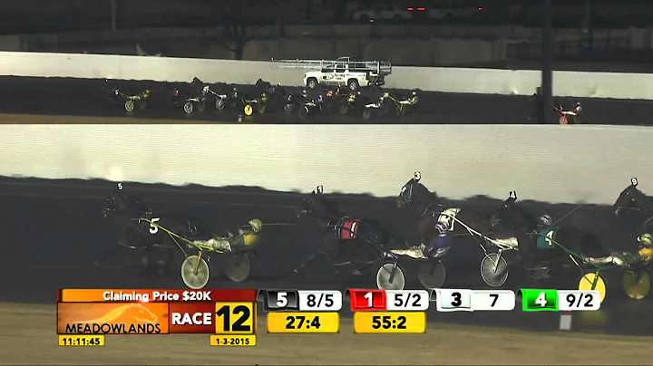 Meadowlands January 3, 2015 - Race 12 - I'm The Re...