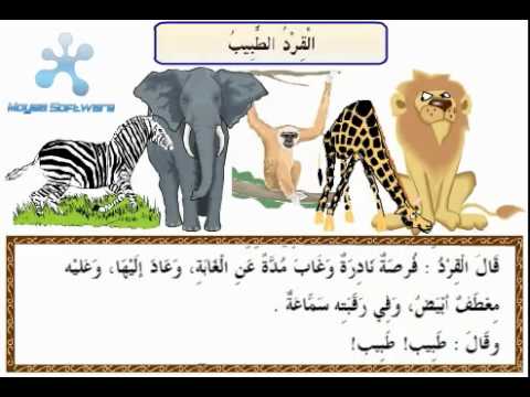قصة القرد الطبيب منهج رابع ابتدائي ايام حلوه