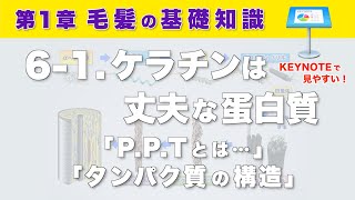 第1章  毛髪の基礎知識  6-1.ケラチンは丈夫な蛋白質「P.P.Tとは…」「タンパク質の構造」