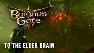 To The Elder Brain // Baldurs Gate 3 [210]