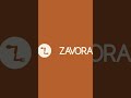 Brand Colors For Zavora Brand #design #branding #viral #visualstorytelling #graphicdesign #fyp #tbt