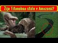 Žije Titanoboa stále v Amazonii?