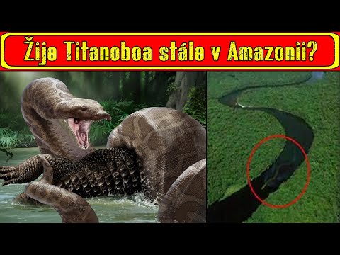 Žije Titanoboa stále v Amazonii?