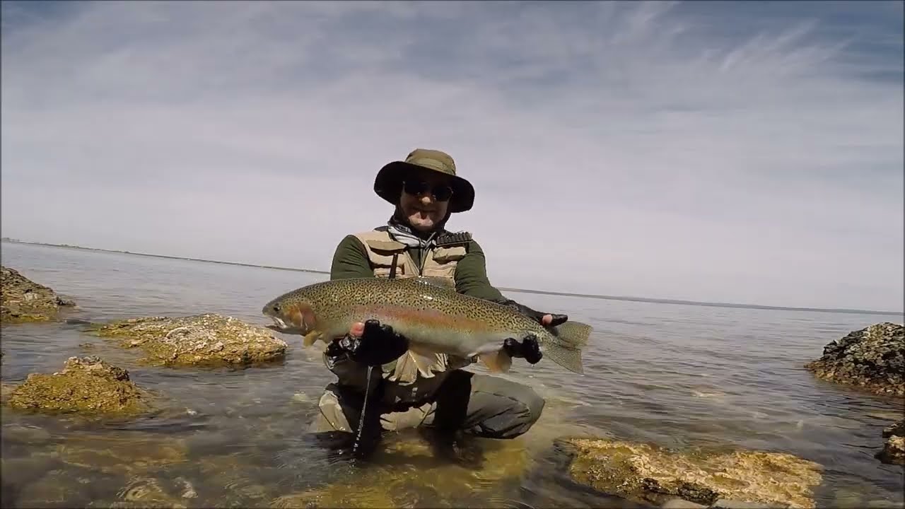 PESCA DE TRUCHAS EN LAGO Mari menuco - Emocionante