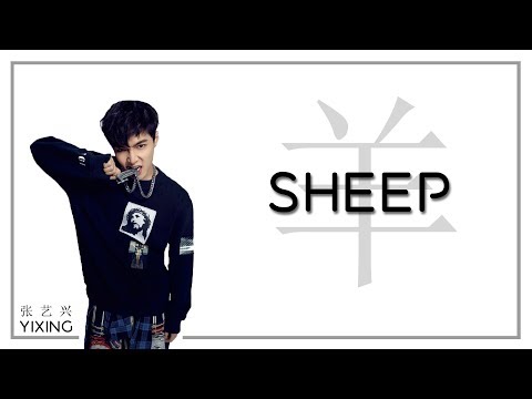 LAY (张艺兴) | Sheep (羊) [chinese/pinyin/english lyrics]