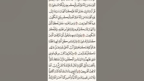 القارئ فهد النقيثان أواخر سورة القصص قصة قارون مع قومه