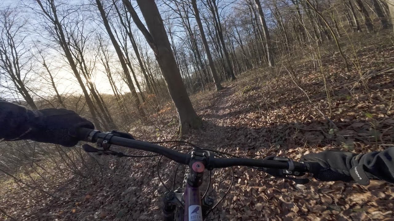 Winter Trails At Their Best.