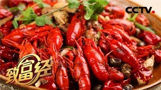 《致富经》 北大硕士挑战行业“潜规则” 一招快赚上千万 20180713 | CCTV农业