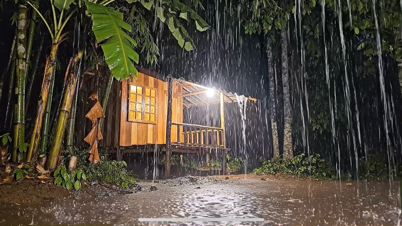 Midnight Rainstorm in the Tropics | ASMR Rain and Thunder for Insomnia