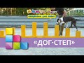 Дог - Степ