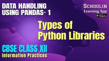 Types to Python Libraries Class 12 CBSE | Library / Module in Python Hindi | INFORMATION PRACTICES