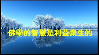 201301 佛学的智慧是利益众生的20244
