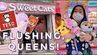 Exploring the BIGGEST Asian Neighborhood in NYC! | Flushing, Queens