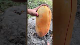The Process Of Cutting Papaya