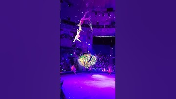 Đi xem biểu diễn xiếc bay ( phần 2 )