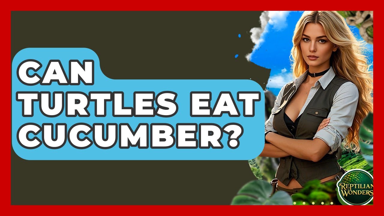 Can Turtles Eat Cucumber? - Reptilian Wonders
