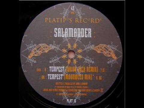 Salamander - Tempest (Union Jack Remix) CLASSIC AC...