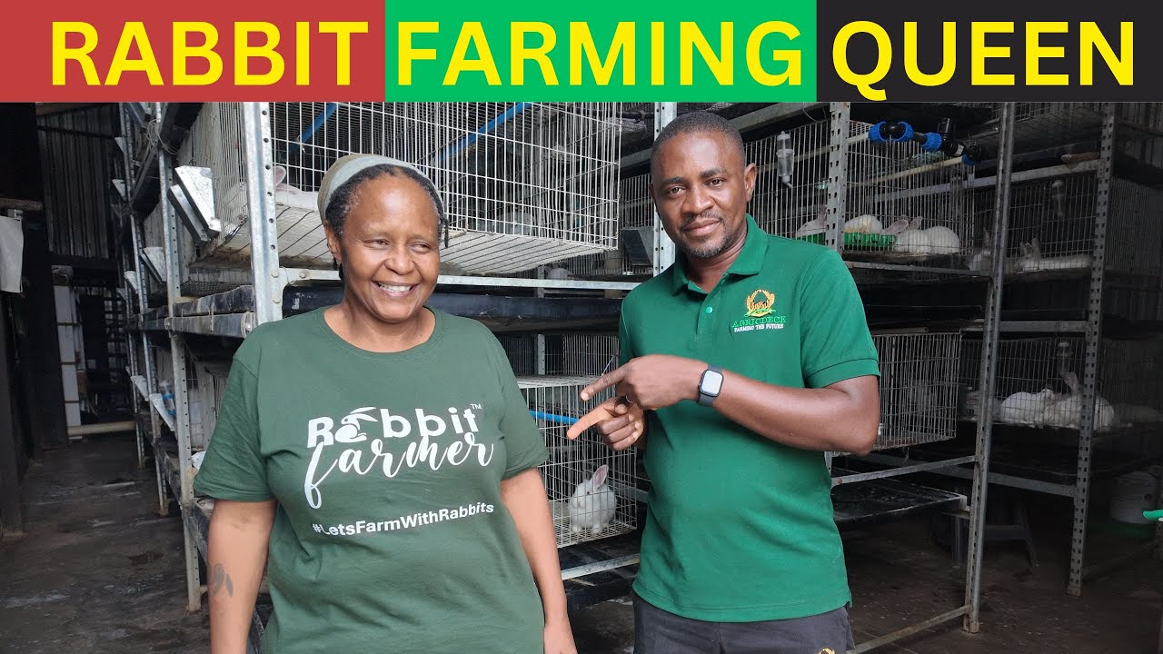 How This South African Woman Built a Rabbit Empire