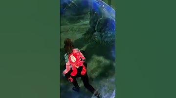 Beamer Save to Downed save I would hate to be that wraith twice in one game sheesh #Dbd #2v8