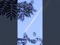 A sky without clouds#shorts