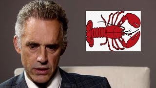 Jordan Peterson Goes Full LOBSTER In Feminist Debate