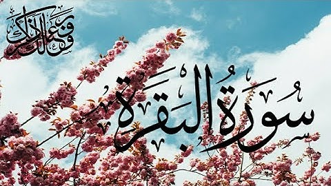 | سورة البقرة | ختمة القران الكريم كاملا بصوت القارئ سمير عزت