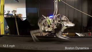 Cheetah Robot Gallops at 18 mph