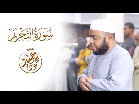 تلاوة سورة التحريم للشيخ محمود السيد من محراب مسجد النصر بالشيخ هارون بأسوان  تلاوة سورة التحريم للشيخ محمود السيد من محراب مسجد النصر بالشيخ هارون بأسوان