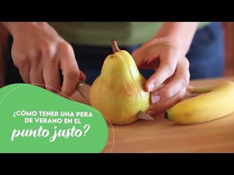 Video: Cómo servir un aperitivo: 12 pasos (con imágenes)