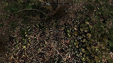 Perfectly Balanced Game With No Flaws