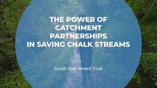 Saving Chalk Streams Using Catchment Partnerships | Southeast Rivers Trust | The Ripple Effect