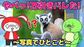 大人向けのバスレクリエーション！移動時間に夢中になれるアイデア