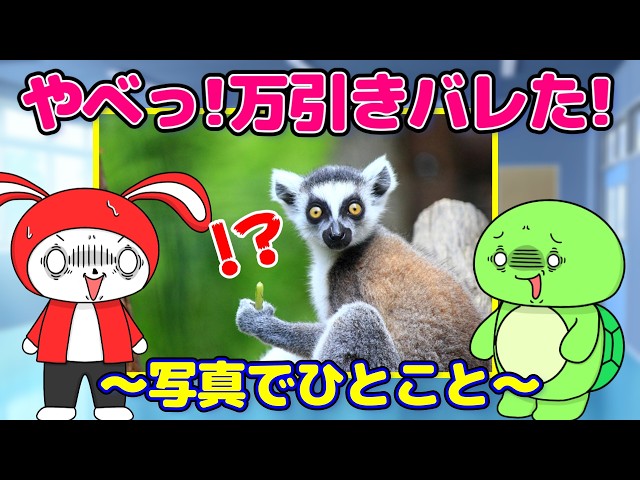 写真で一言ゲームNEW!