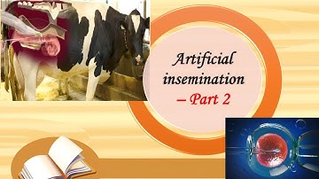 Artificial Insemination - Part 2